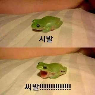 KakaoTalk_20150204_160109190.jpg