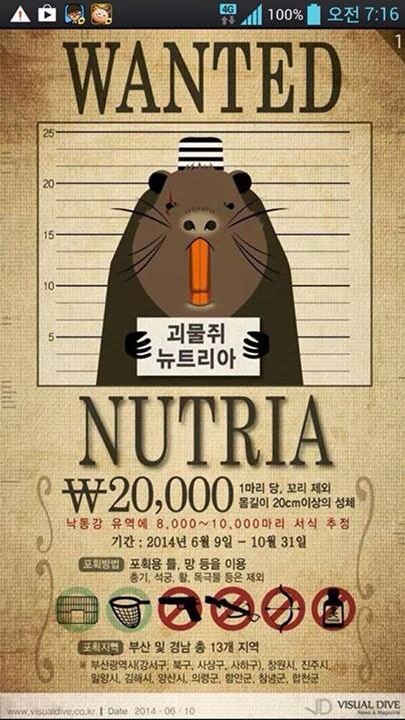 KakaoTalk_20140612_132142179.jpg