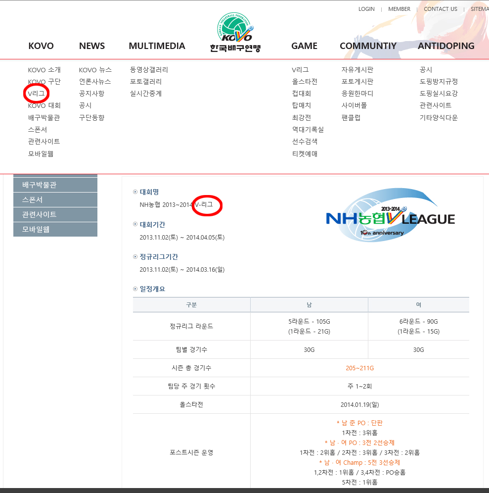 v리그.jpg