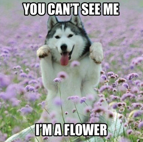 You-can`t-see-me.jpg 