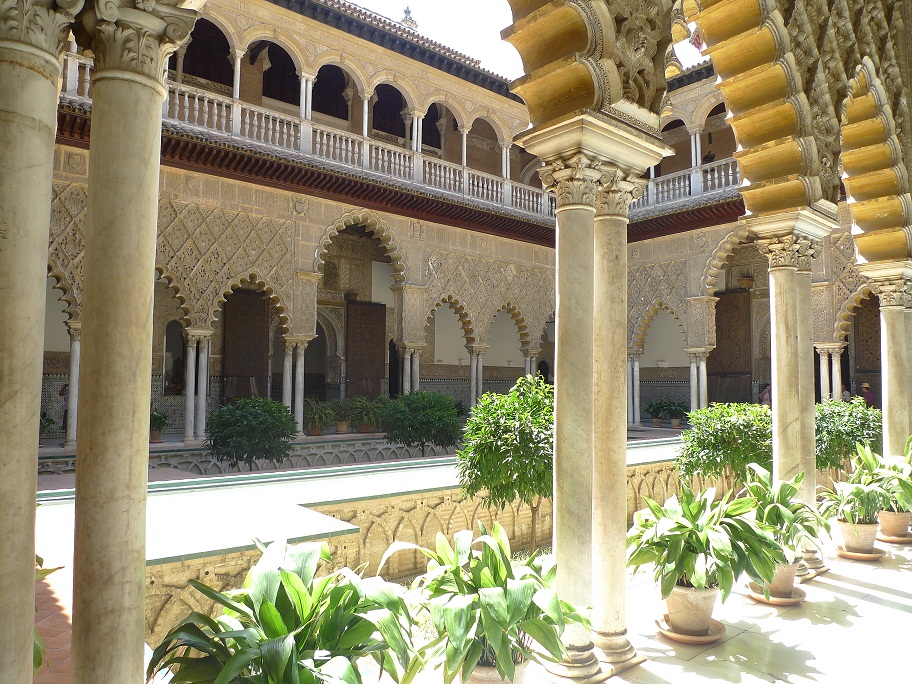 P1040874_1.jpg