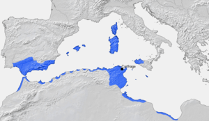 300px-CarthageMap.png