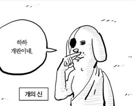 개판.jpg