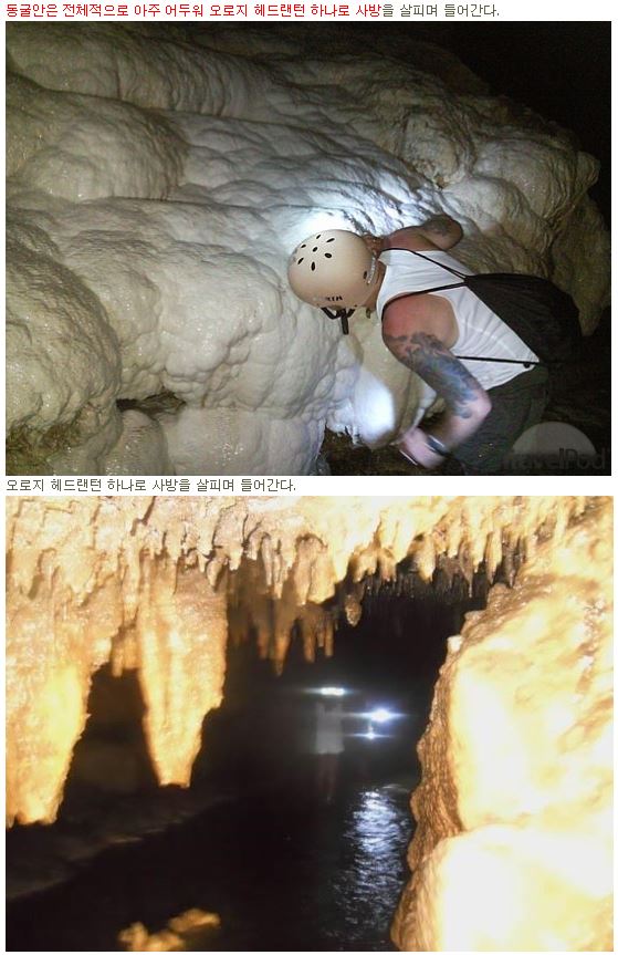 캡처.JPG
