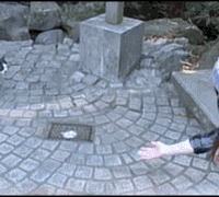 tumblr_n9hbv5yJjQ1tv4atfo1_250.gif