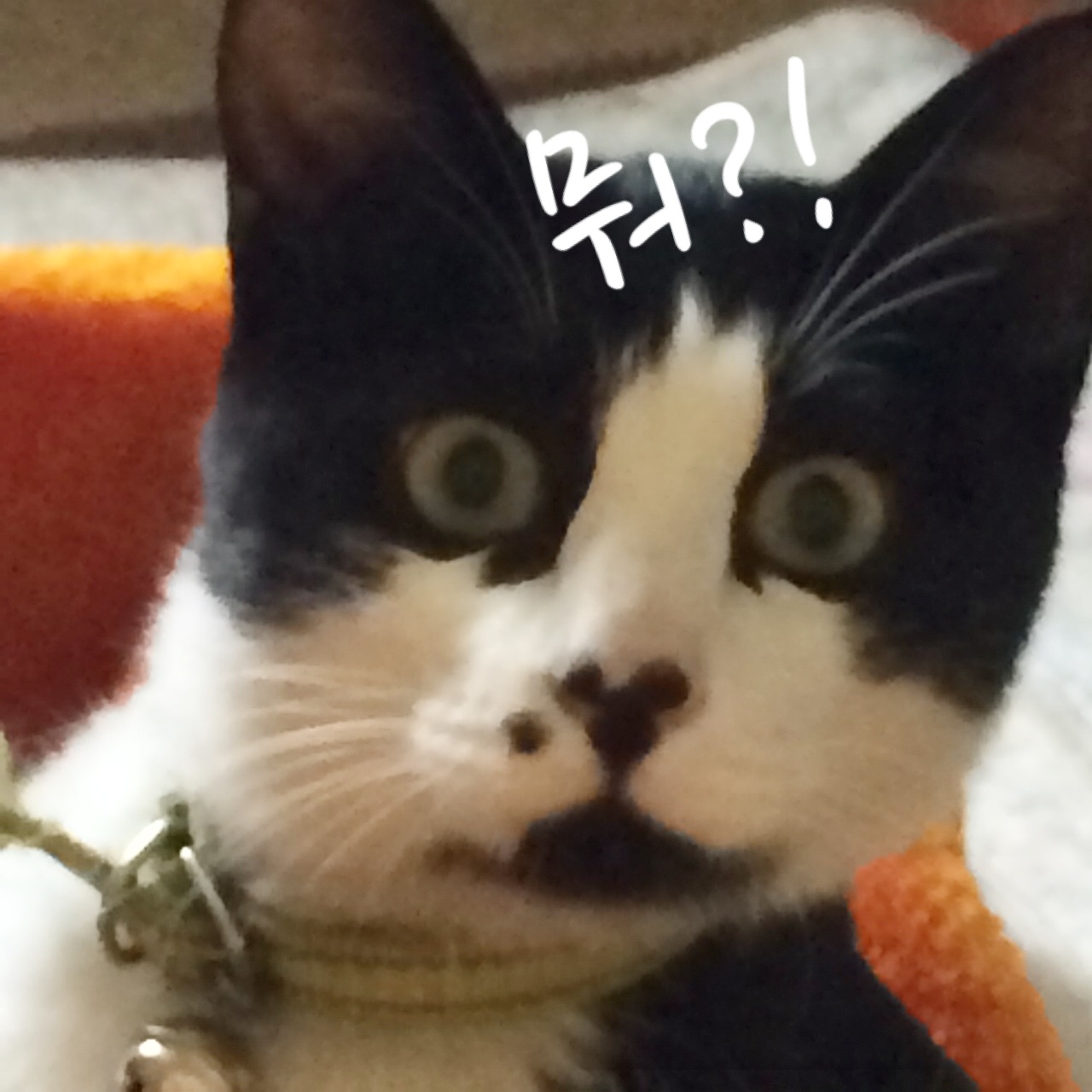 20140427_043421000_iOS.jpg