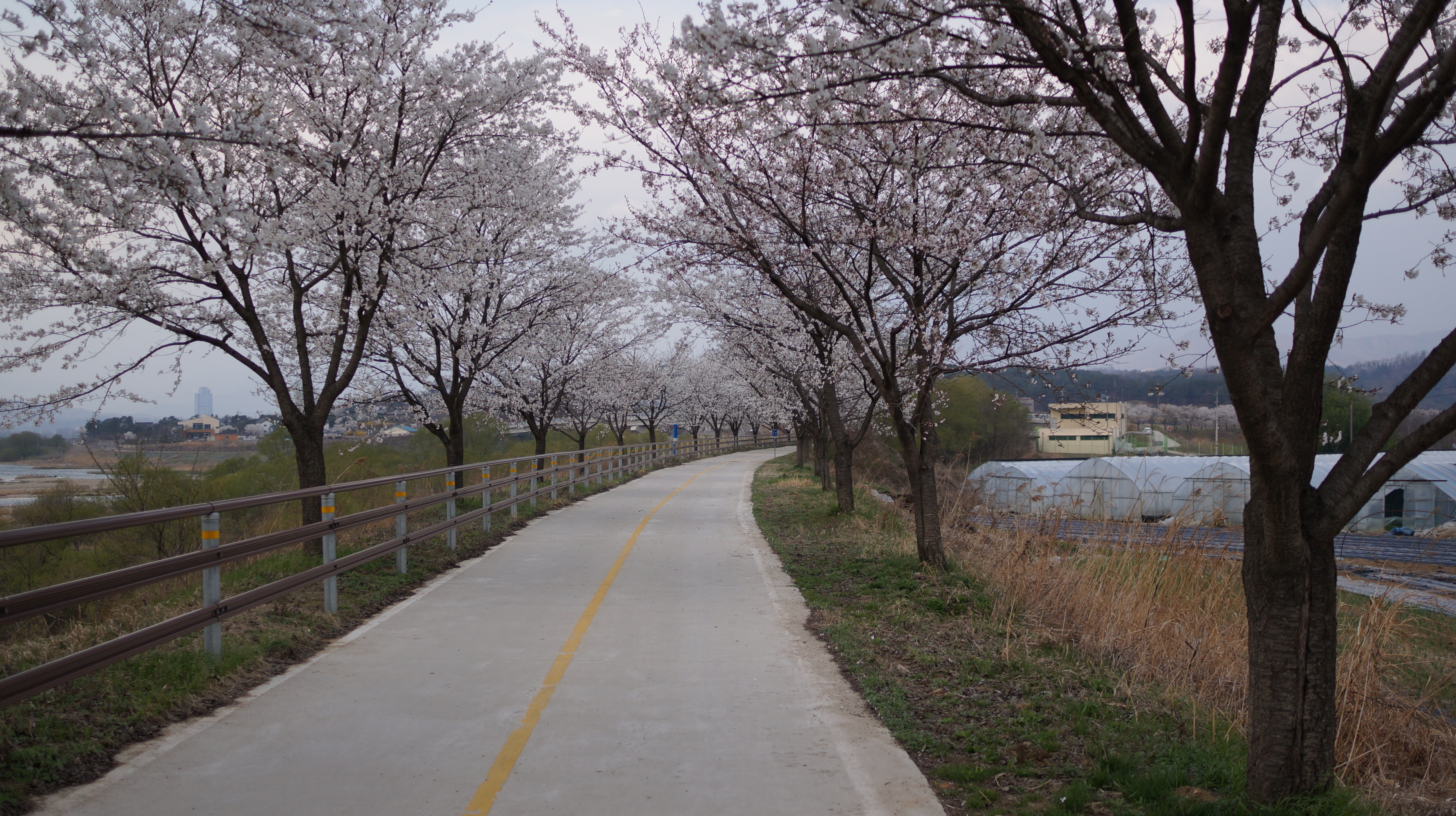 DSC01495.JPG