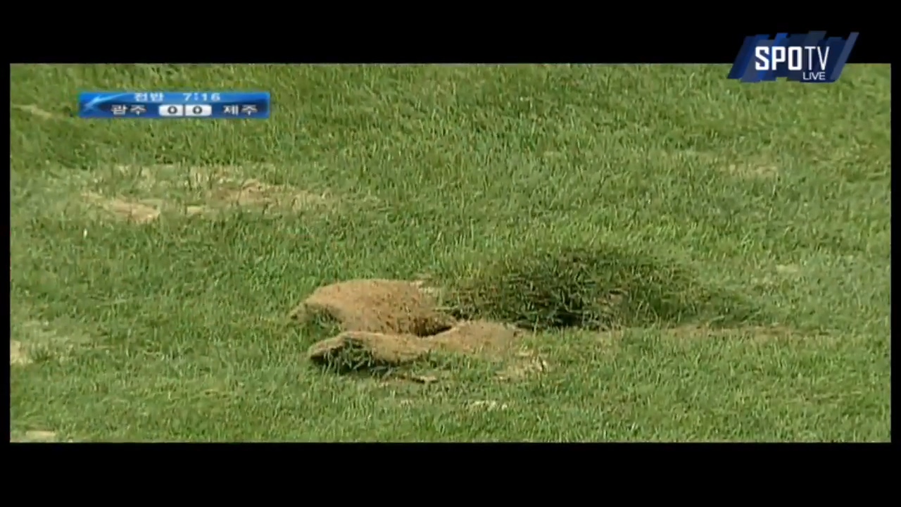 광주 vs 제주 K리그 클래식 _ 8월 23일_20150823_190902.738.jpg