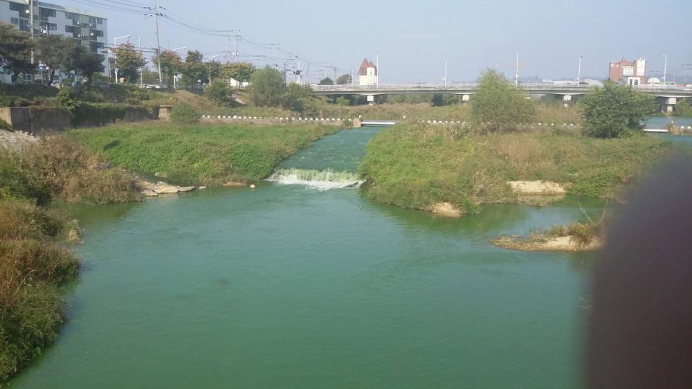 회전_크기변환_20141010_150711.jpg