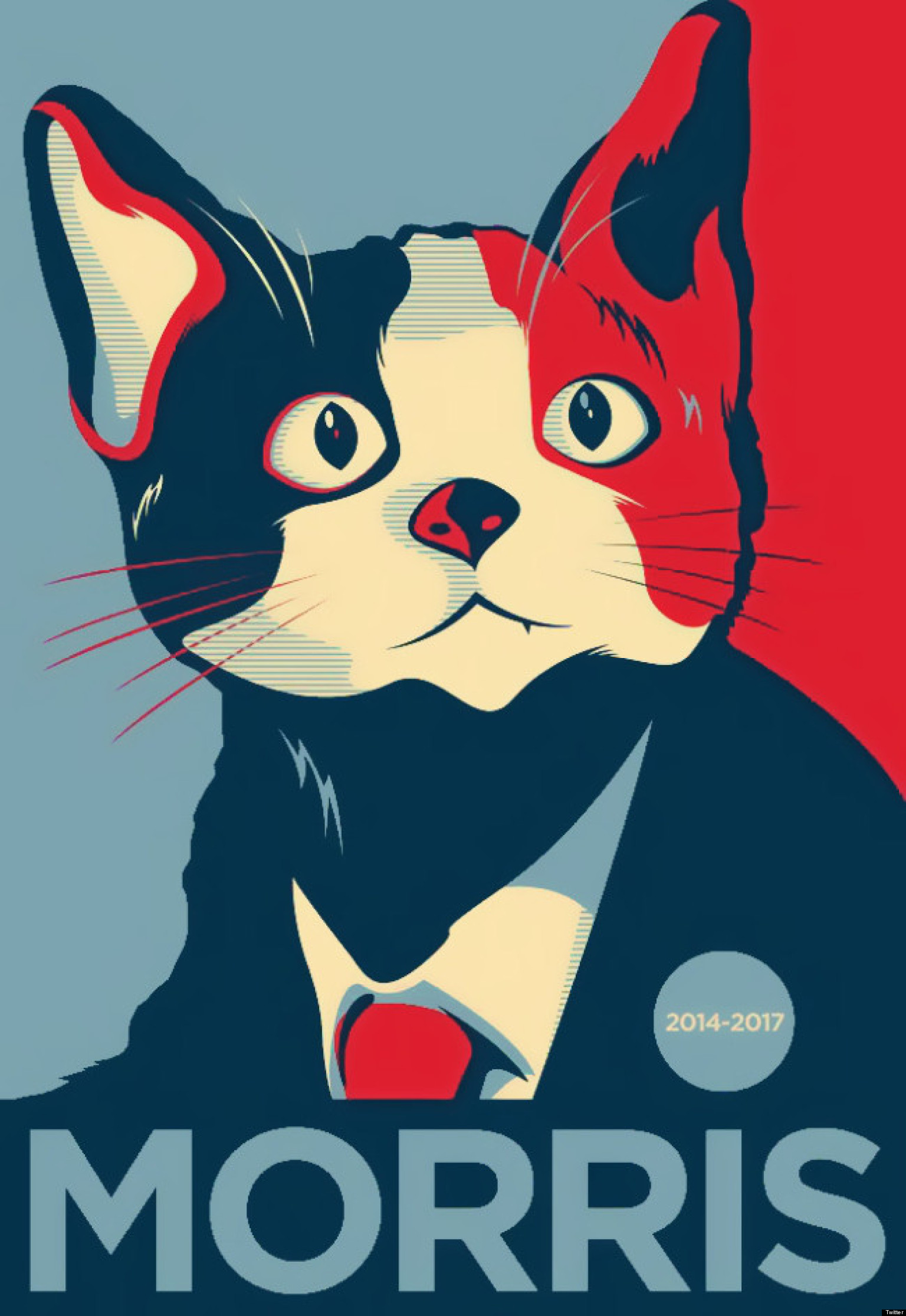 o-MORRIS-CAT-FOR-MAYOR-facebook.jpg