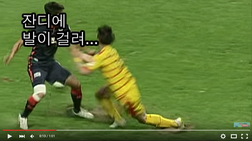 광주잔디.PNG