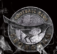 성남fc 엠블럼 연기메탈 줄인것.jpg