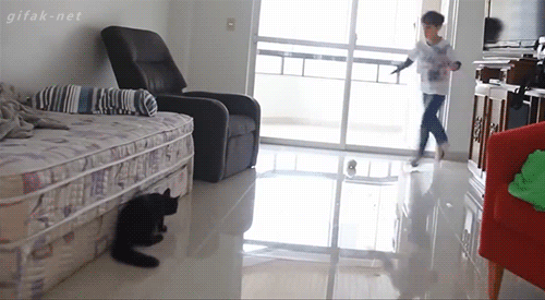웃짤_골키퍼냥.gif