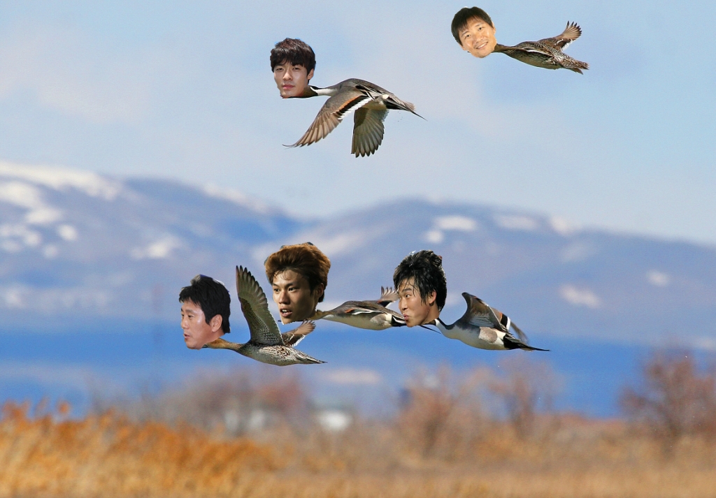 철새4.jpg